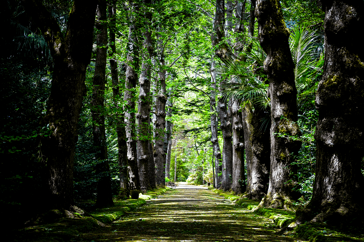 FSI Portugal - "Heaven Within" - The Feng Shui & Chinese Astrology Retreat