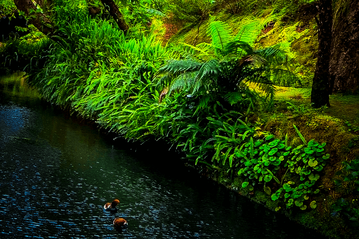 FSI Portugal - "Heaven Within" - The Feng Shui & Chinese Astrology Retreat