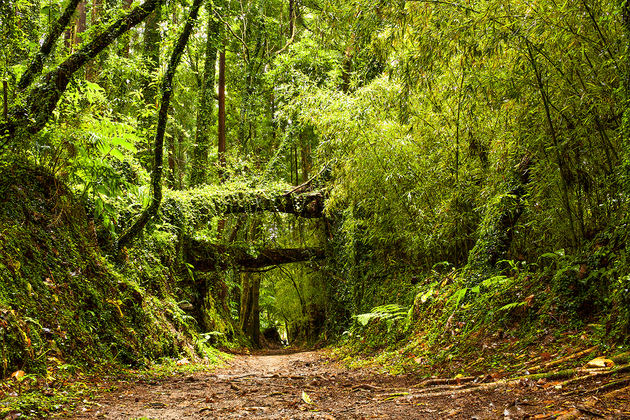 FSI Portugal - "Heaven Within" - The Feng Shui & Chinese Astrology Retreat